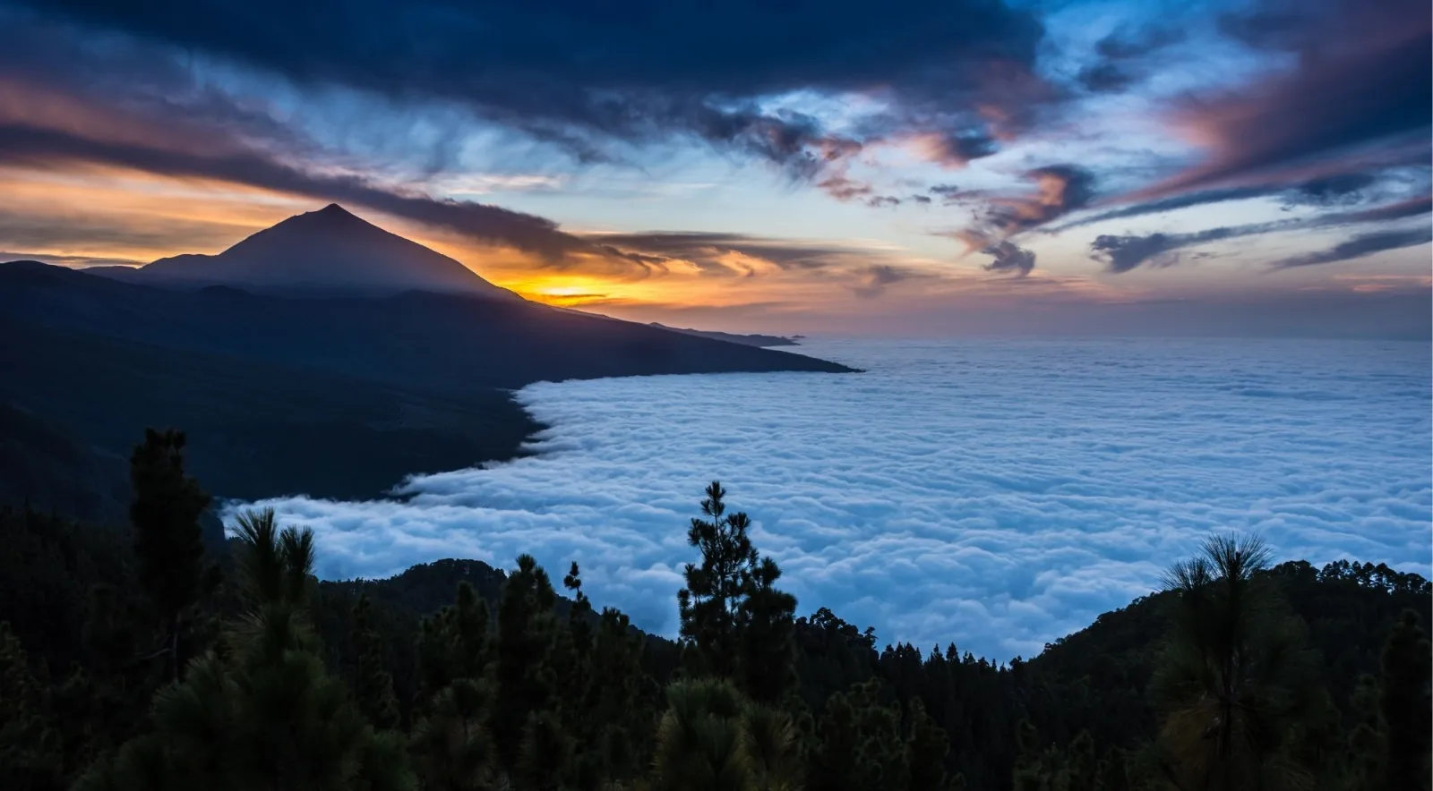 Mount Teide at sunset rising above a thick sea of clouds filling the valley